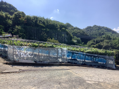 4A67299F-E346-411E-B01C-DFCE9C797045