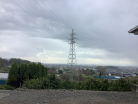 20240312_053738798_iOS