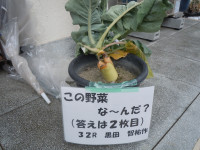 DSCN2996