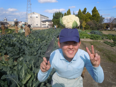 DSCN3536