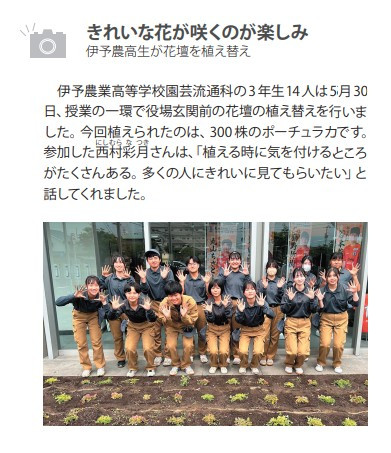 スクリーンショット 2025-07-02 084801