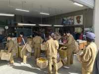 20251104_011509093_iOS