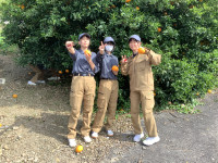20260428_061833378_iOS