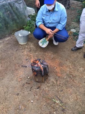 スウェーデントーチの燃焼実験