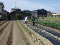 DSC00194