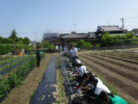 DSC00196