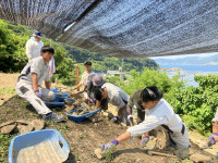 8.2愛南４