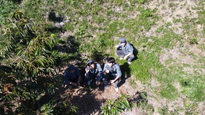 DJI_0038