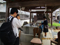 IMG_1965