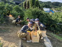 20251028_004523617_iOS