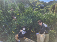 20251028_005237268_iOS