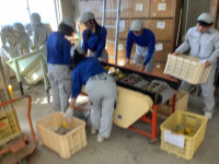 20251028_053536736_iOS