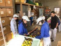 20251028_053829083_iOS