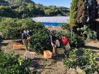 20251029_002400267_iOS