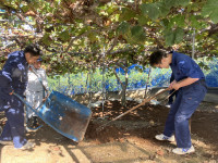 20251029_021902313_iOS