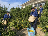 20251030_054744857_iOS