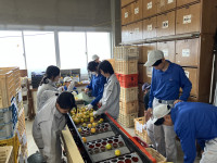 20251104_054709210_iOS