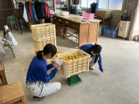 20251104_054720944_iOS