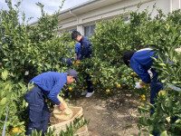 20251105_024633160_iOS