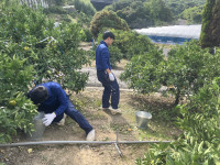 20251105_024737135_iOS