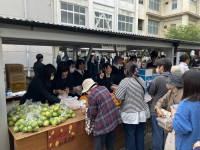 20251108_004413514_iOS