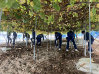 20251112_030951782_iOS