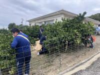 20251112_030822104_iOS