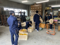 20251112_031231318_iOS