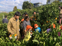 20251117_013857923_iOS