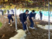 20251119_022429330_iOS