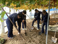 20251119_023702141_iOS