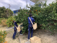 20251119_025550027_iOS