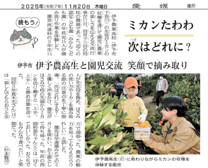 スクリーンショット 2025-11-20 090418