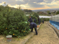 20251120_064425693_iOS