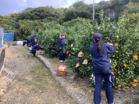 20251120_064711891_iOS