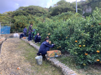 20251120_064720570_iOS