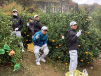 20251125_060029401_iOS