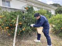 20251203_025829717_iOS