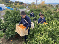 20251203_030002970_iOS