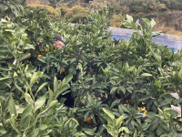 20251203_030119409_iOS