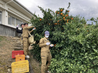 20251205_004343075_iOS