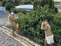 20251205_012037364_iOS