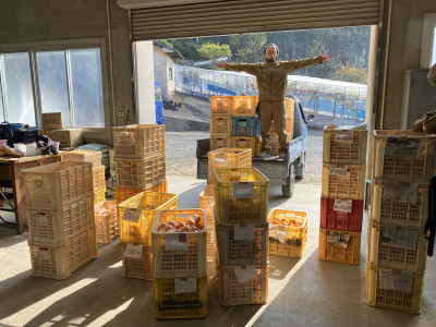 20251208_033548464_iOS