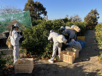 20251209_055027472_iOS