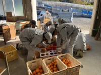 20251209_060927950_iOS