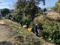 20251210_025354023_iOS