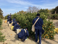 20251210_021750510_iOS