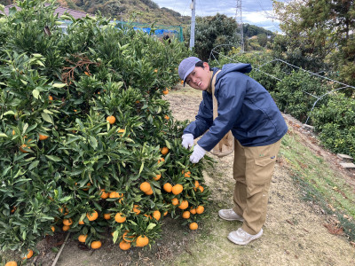 20251212_023218146_iOS