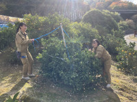 20251215_020812407_iOS