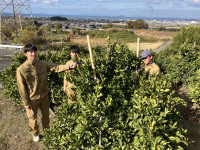 20251215_020833058_iOS